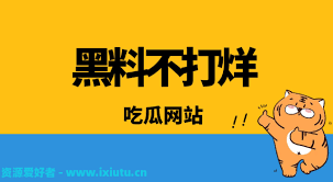 注于报道各
